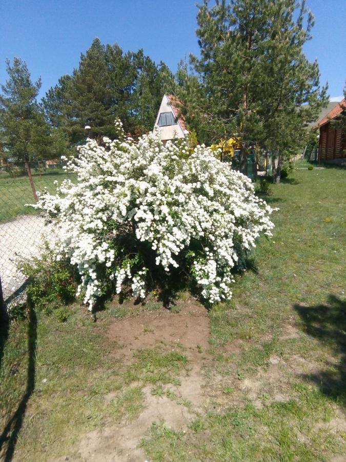Apartman Marija Zlatibor Eksteriør billede